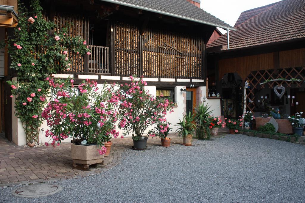 Ferienwohnung Fam. Hoehn Kappel-Grafenhausen Εξωτερικό φωτογραφία