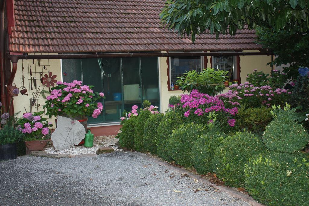 Ferienwohnung Fam. Hoehn Kappel-Grafenhausen Εξωτερικό φωτογραφία
